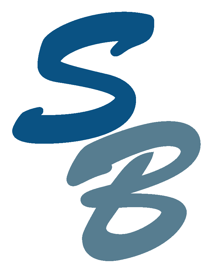 logo Stanisław Brajer